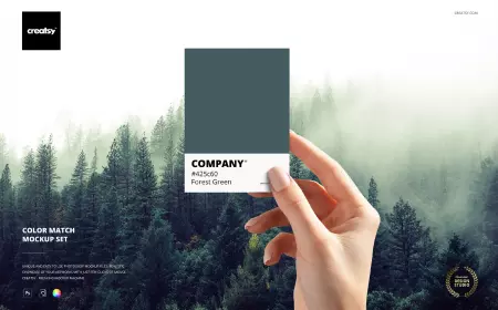 Color Match Mockup Set By creatsy5